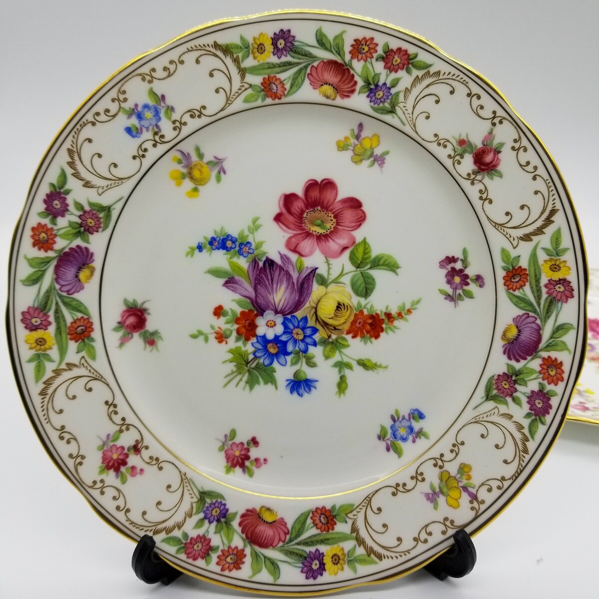 Set of Antique Dresden 8 Inches Plates - Etsy