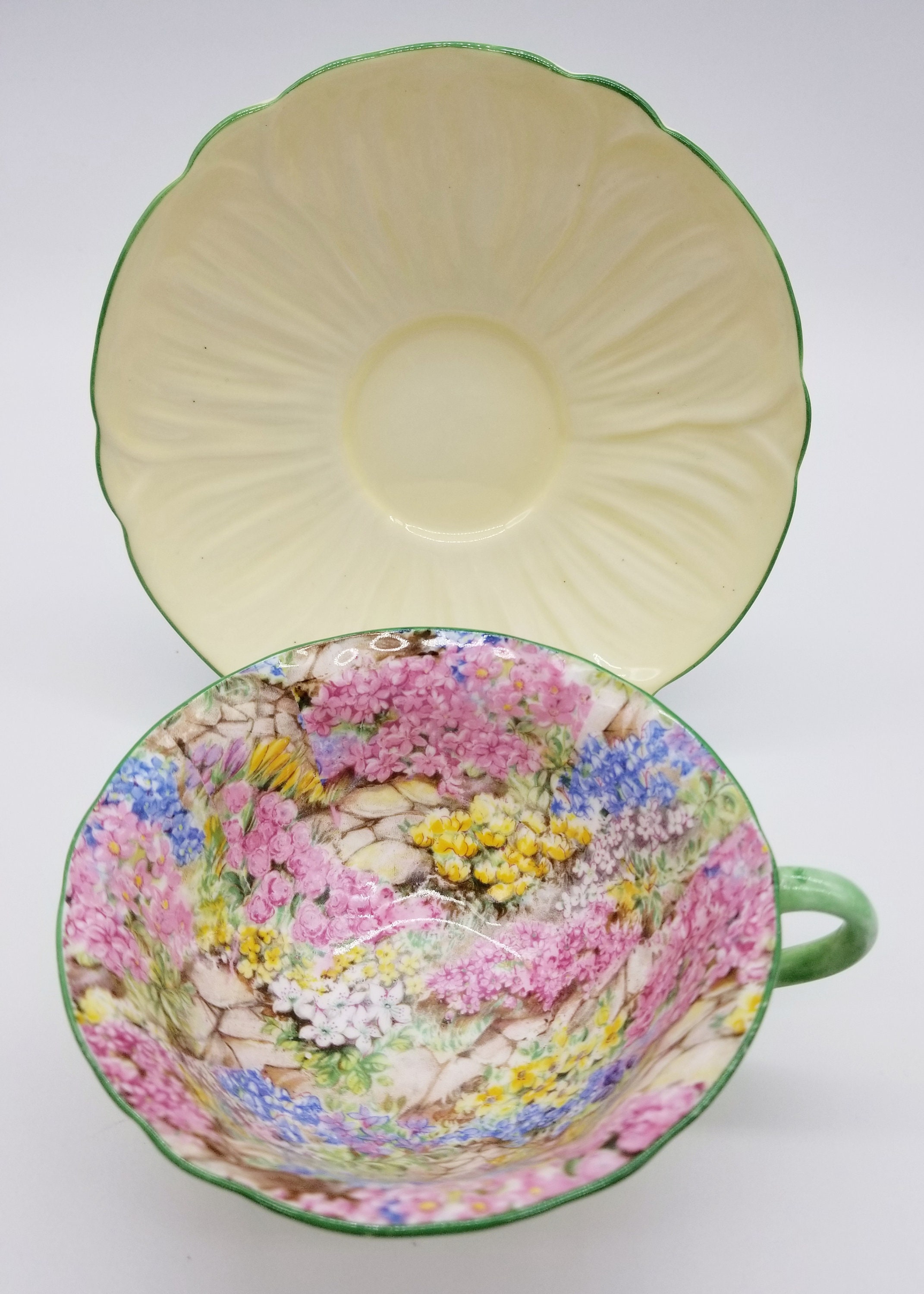 Shelley Oleander Rock Garden Teacup and Saucer Green Rim and Etsy
