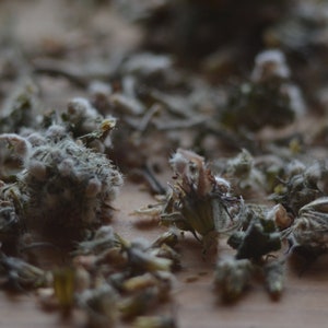 MOTHERWORT (Leonurus cardiaca) tea for reducing anxiety, better sleep,stress relief.Hand picked, organically grown. Whole plant tea,2oz/60g