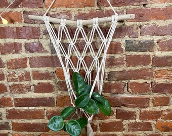 Macrame Wall Hanging/Plant Hanger