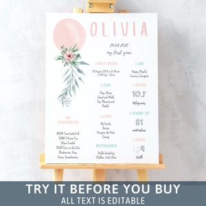 Globo rosa pastel 1er cumpleaños Milestone Poster Primer cumpleaños Baby Girl Milestone Sign Baby Milestone Poster Baby Keepsake Party Sign 77