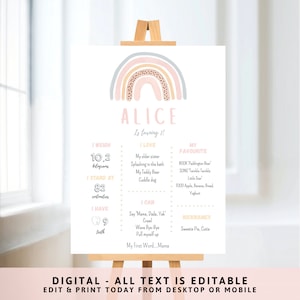 Pastel Rainbow Baby Girl First Birthday Milestone Board, Rainbow Birthday, Milestone Sign, 1st birthday, Milestone Poster, Editable, RM-24