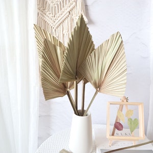 Palm Leaves, Large Dried Palms, Dried Palm Leaves, Bleached Palm Leaves, Tropical Wedding Decor, Boho Wedding Decor,