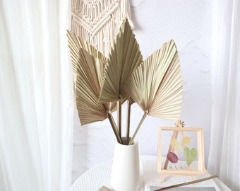 Palm Leaves, Large Dried Palms, Dried Palm Leaves, Bleached Palm Leaves, Tropical Wedding Decor, Boho Wedding Decor,