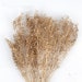 Dried Grasshome Decor Flower Arrangementdiy Flower - Etsy