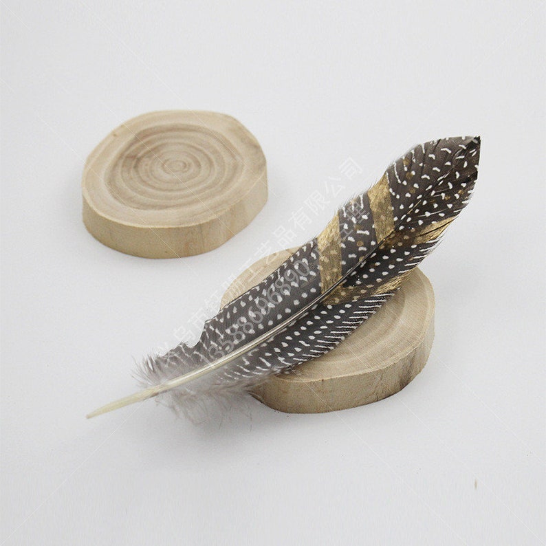 High Quality Feathers Pheasant Feathers Unique Feathers Etsy