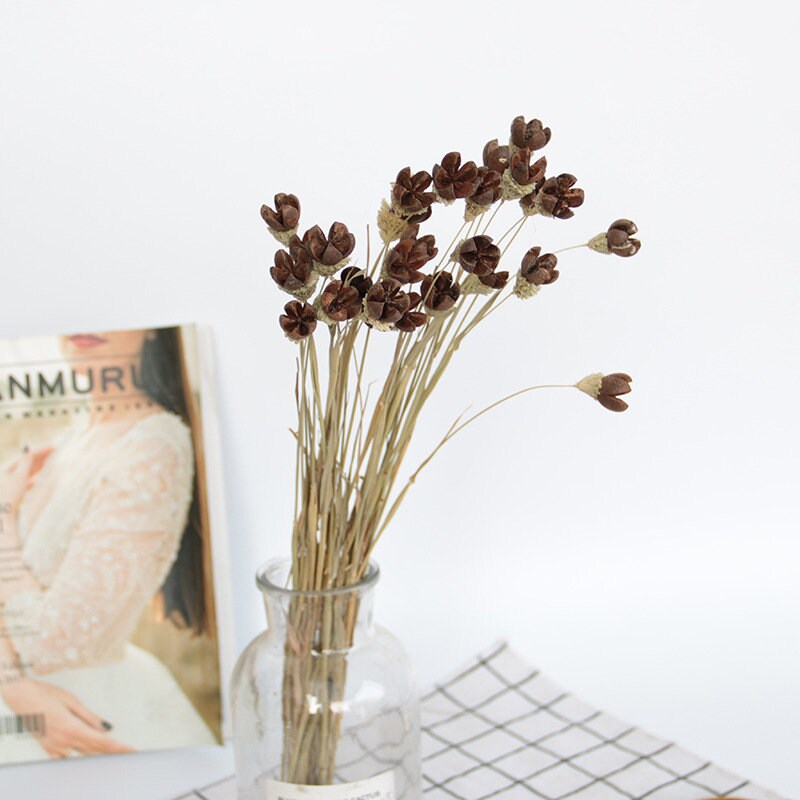 Dried flower bouquet vase filler natural home decor dried Etsy