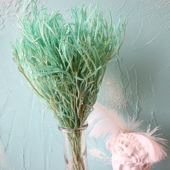 Preserved Dragon Beard Flower Dried Dragon Beard Flower Etsy