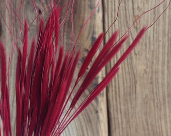 10 Stems pennisetum/Grass Bundle/Dried Leaf/Dried floral arrangement/natural dried plant/grass bouquet