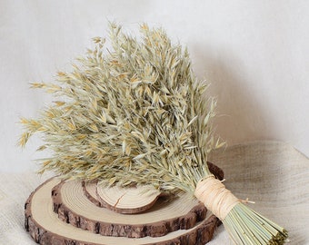 180 PCS Dried Natural Lagurus Ovatus Bunches,40-45cm Length for Floral Decor,Dried oats, ears of wheat