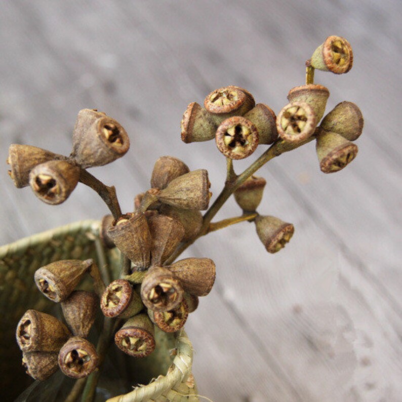 Dried flower bouquet rustic flower bouquets,Dried eucalyptus flowers natural home decor dried flowers vase filler