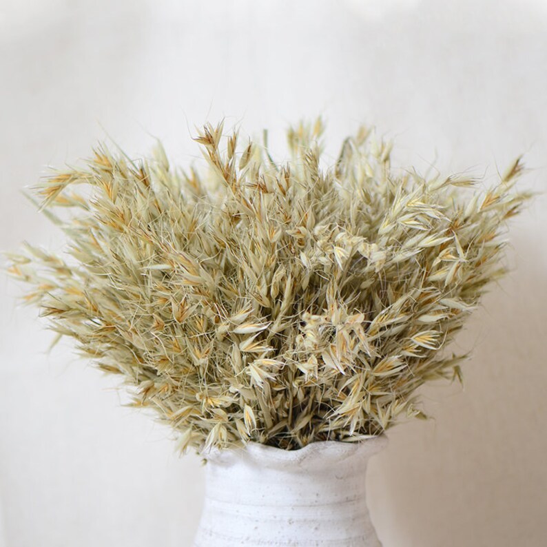 180 PCS Dried Natural Lagurus Ovatus Bunches,40-45cm Length for Floral Decor,Dried oats, ears of wheat image 3