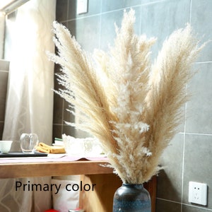 5 stems pampas grass 34'' , dried flowers, pampasgrass, Natural Dried Pampas Grass, Phragmites Communis,Reed Plume,Wedding,FlowerArrangement image 2