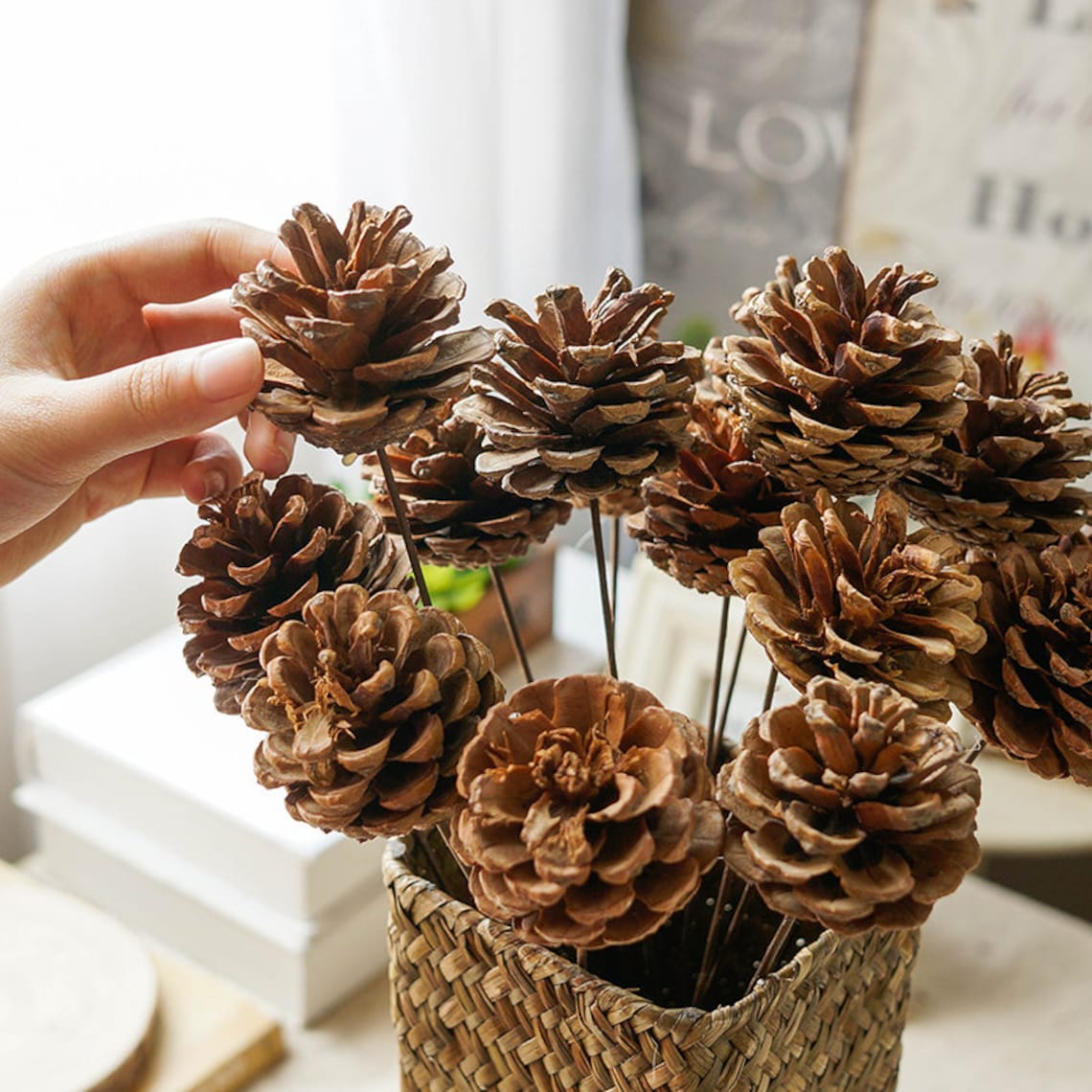 Stemmed Pine Cones Pine Cones Natural Pine Cones Etsy
