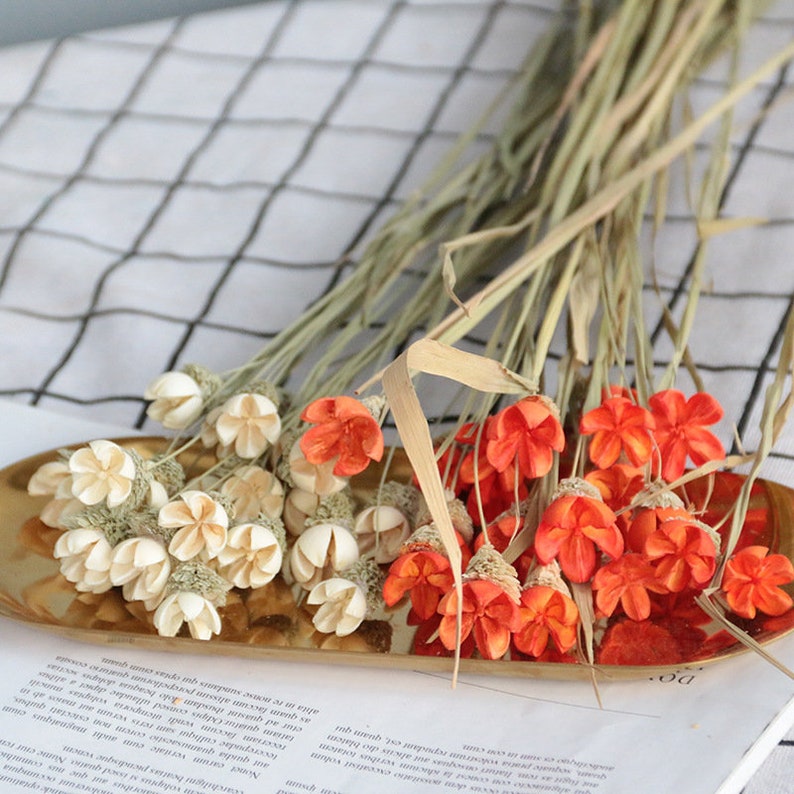 Dried Flower Bouquet Vase Filler Natural Home Decor Dried Etsy