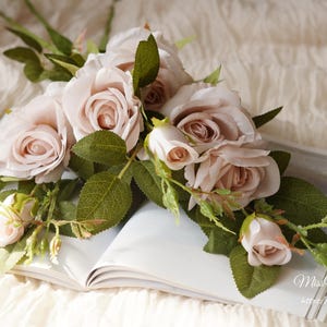 May include: A collection of pale pink roses with green foliage lies on an open book. The roses are at different stages of blooming, some tightly closed and others fully open. The book is white, and the background is a soft, off-white fabric.