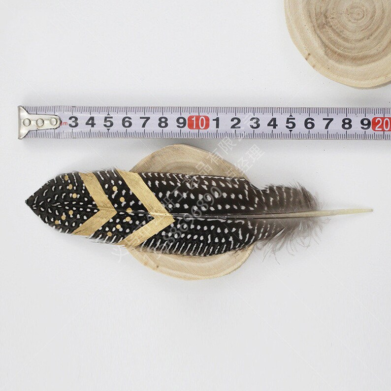 High Quality Feathers Pheasant Feathers Unique Feathers Etsy