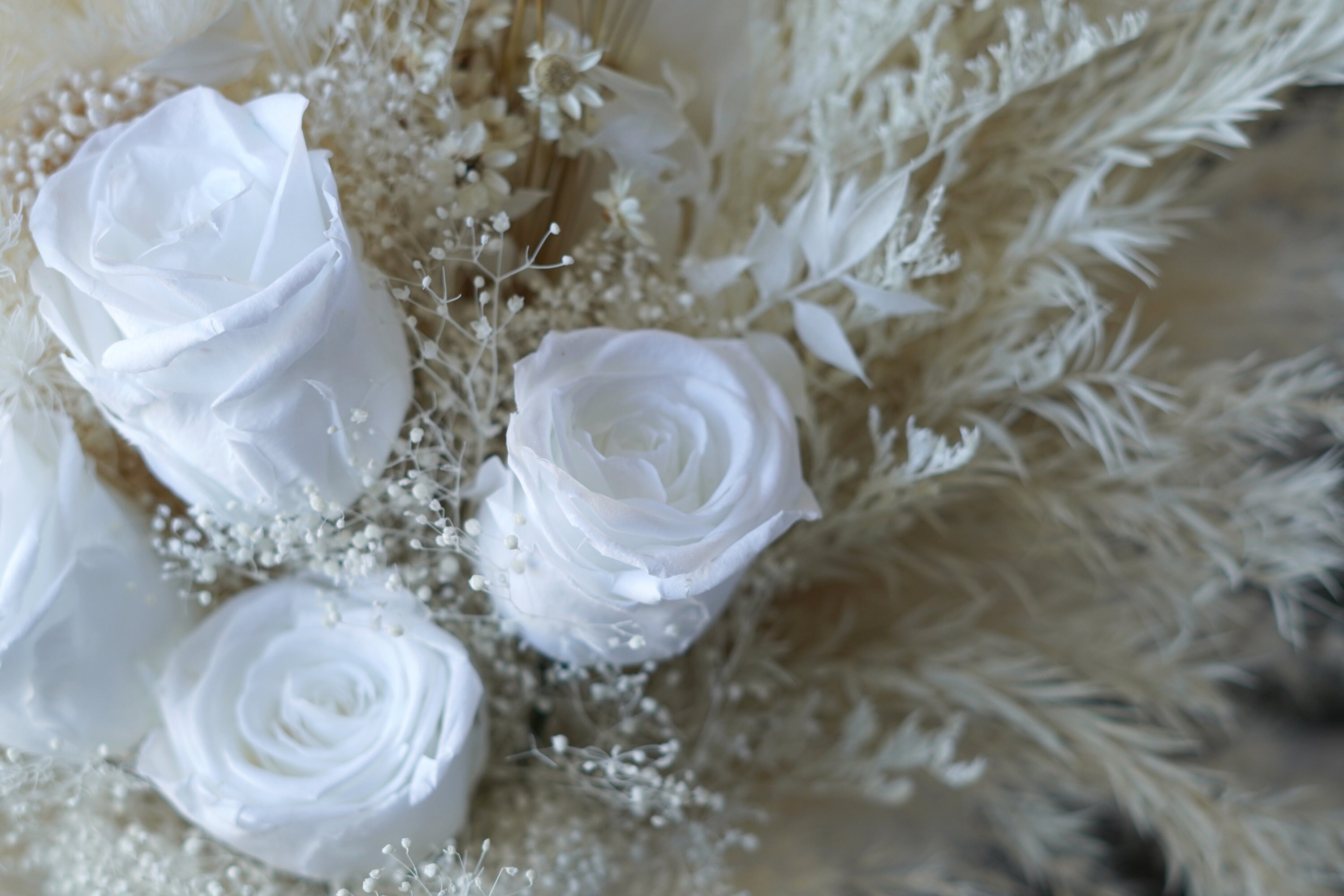Bouquet de mariée herbe de la pampa rose blanche stabilisée Bouquet de ...