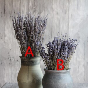 100pcs Lavender, One Bunch, Preserved,Dry Lavender, Wedding, Home Decor Bunch Bouquet Dried Lavender Flowers Floral,50cm