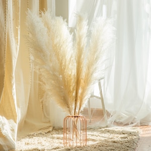 5 stems pampas grass 34'' , dried flowers, pampasgrass, Natural Dried Pampas Grass, Phragmites Communis,Reed Plume,Wedding,FlowerArrangement Cream color