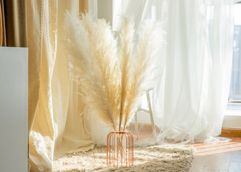 5 stems pampas grass 34'' , dried flowers, pampasgrass, Natural Dried Pampas Grass, Phragmites Communis,Reed Plume,Wedding,FlowerArrangement Cream color