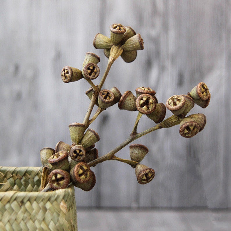 Dried flower bouquet rustic flower bouquets,Dried eucalyptus flowers natural home decor dried flowers vase filler