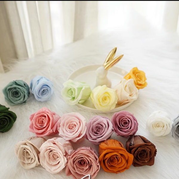 High Quality Colorful Preserved  Roses,4 cm,Colorful Preserved Roses,Wedding decor,Floral Arrangement, flowers bouquet blank