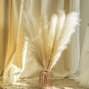 5 stems pampas grass 34'' , dried flowers, pampasgrass, Natural Dried Pampas Grass, Phragmites Communis,Reed Plume,Wedding,FlowerArrangement image 8