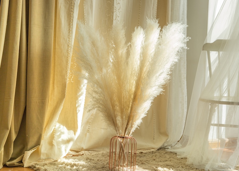 5 stems pampas grass 34'' , dried flowers, pampasgrass, Natural Dried Pampas Grass, Phragmites Communis,Reed Plume,Wedding,FlowerArrangement image 8