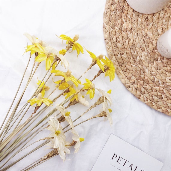 Dried Oncidium Bouquet Vase Filler Natural Home Decor Dried Etsy