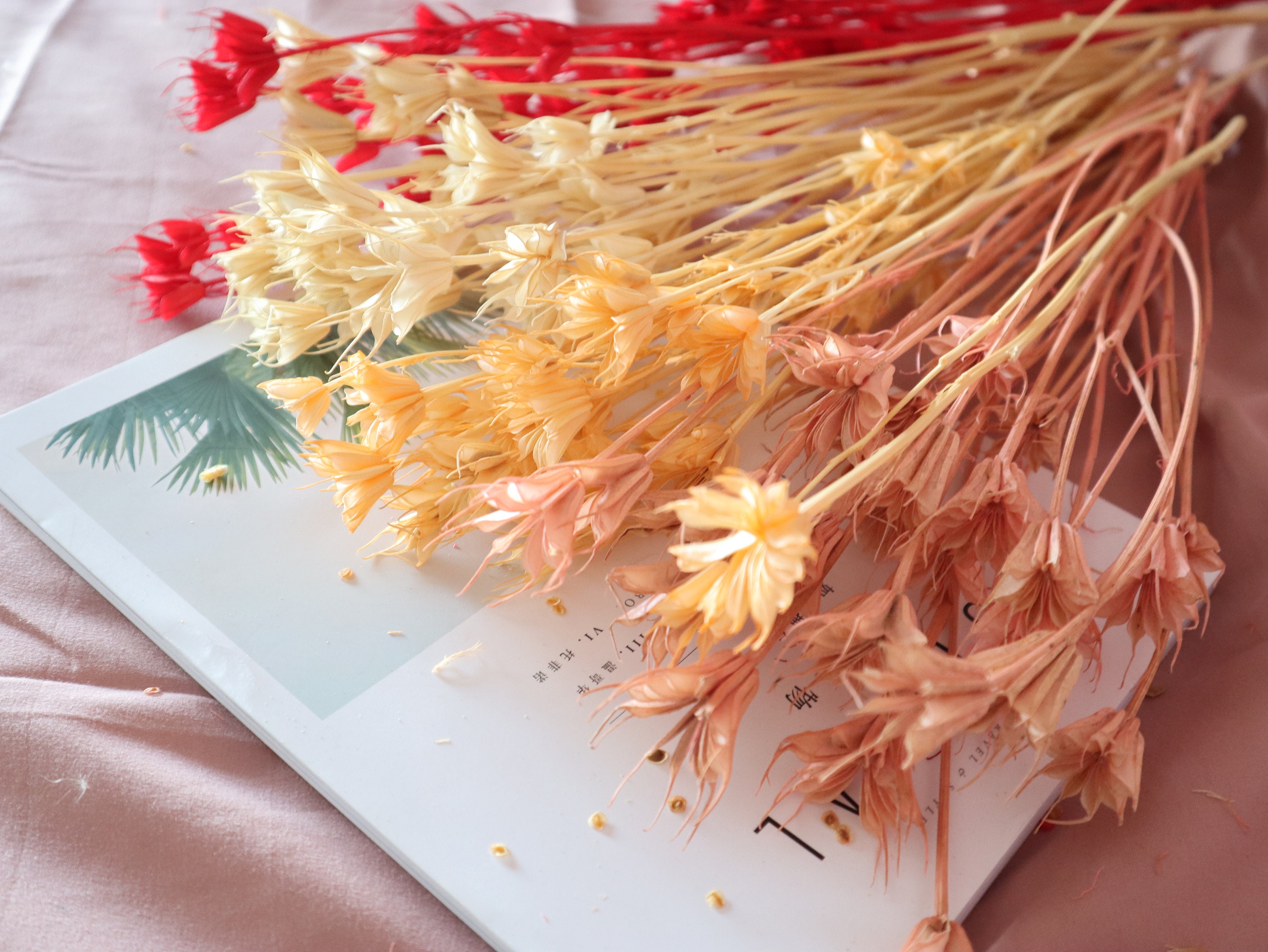 1 Package Star Anise Dried Flowers,real Dried Flowers,weddings