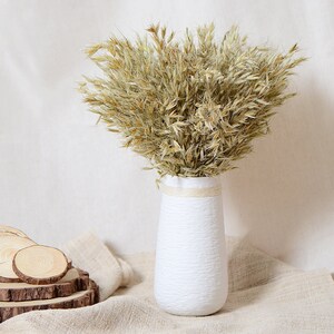 180 PCS Dried Natural Lagurus Ovatus Bunches,40-45cm Length for Floral Decor,Dried oats, ears of wheat image 4