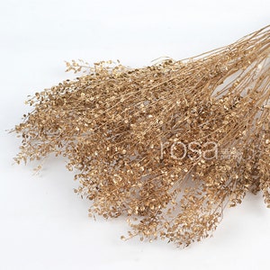 Dried Grasshome Decor Flower Arrangementdiy Flower - Etsy