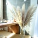 12 PCS Extra large light colored dry reeds plumes，Natural Dried Pampas Grass Decor, Reed Plume, Dry Boho Wedding Flower Arrangement, 