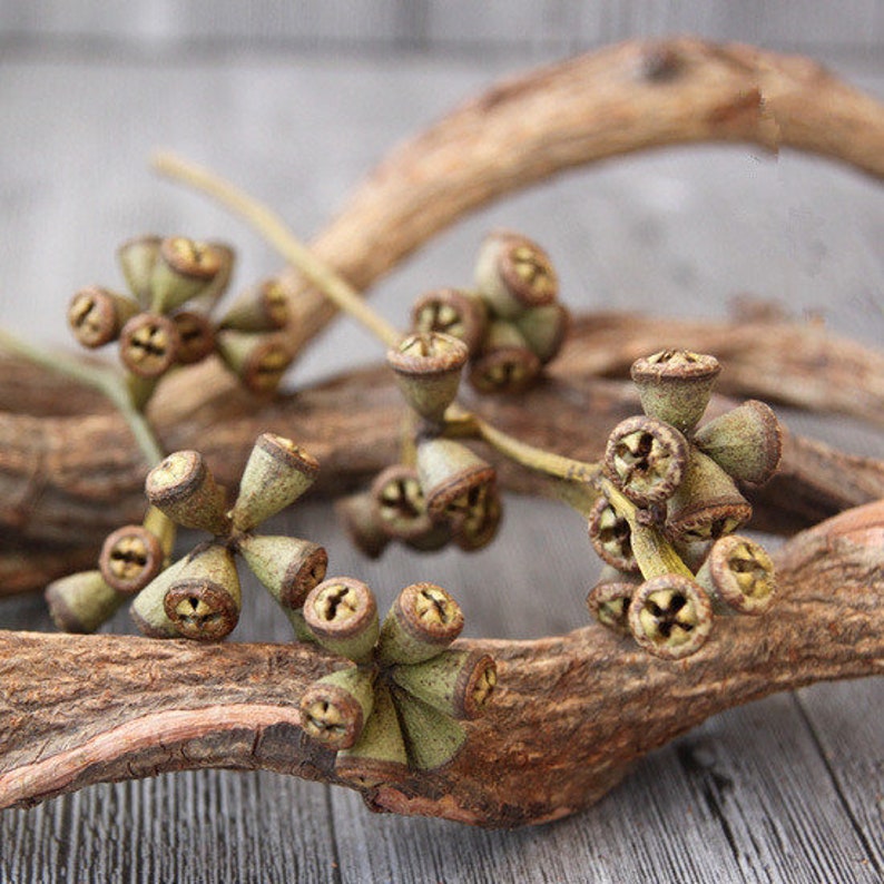 Dried flower bouquet rustic flower bouquets,Dried eucalyptus flowers natural home decor dried flowers vase filler