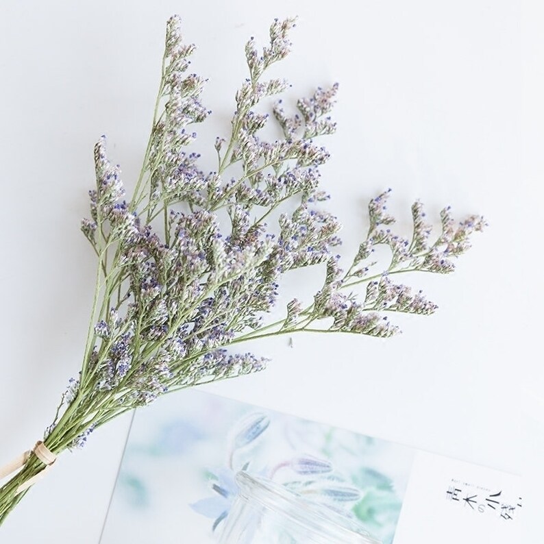 Home Decor Purple German Statice Bouquet Filler Bunch of Etsy