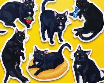 Black Cat Sticker Pack - 6 Matte Vinyl Stickers, Waterproof