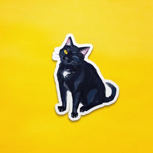 May include: A black cat with a white patch on its chest sits with one eye closed, looking to the side. The cat has a yellow eye and pink ears.