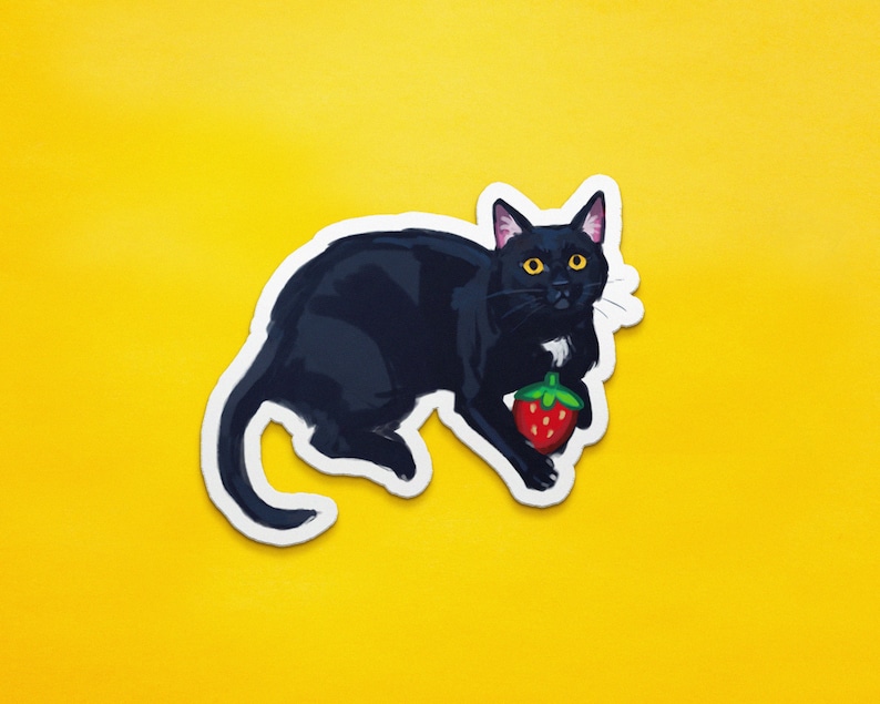May include: A black cat with white chest fur holds a red strawberry in its paws. The cat is looking directly at the viewer with a serious expression.