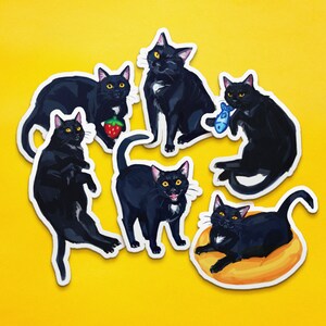 May include: Six black cat stickers with white markings. The cats are in various poses, including sitting, lying down, and playing with a toy fish. The stickers are on a yellow background.