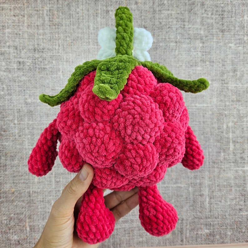 May include: A crocheted raspberry plush toy with a green stem and white flower. The raspberry is pink and has a textured surface.