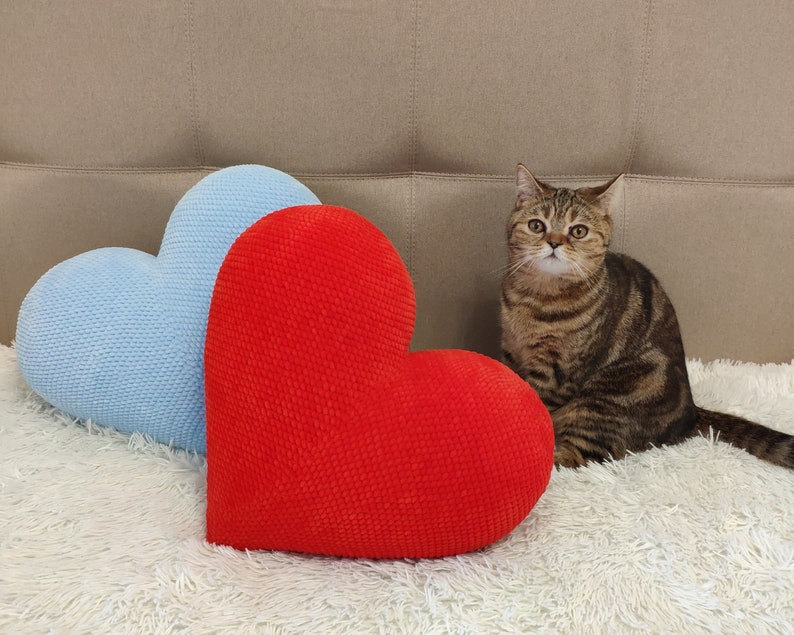 May include: A brown tabby cat sits on a white fluffy surface with two heart-shaped pillows. One pillow is light blue and the other is red.