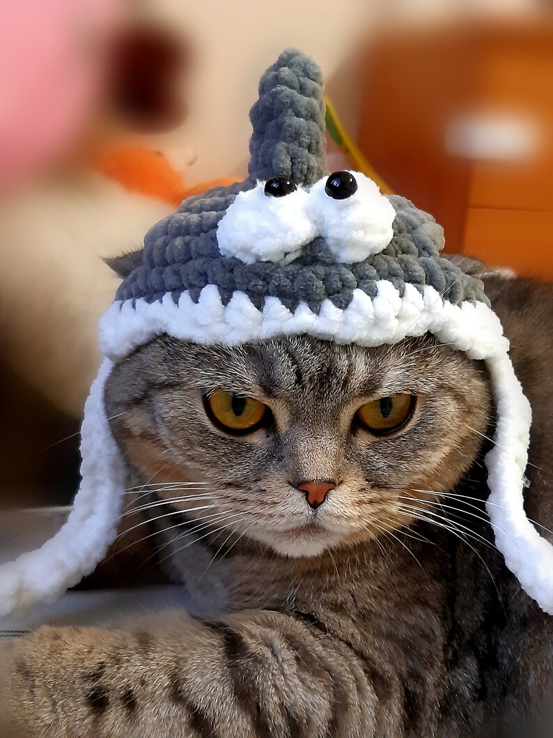 Crochet Patterns Hat for Cats Shark Hat Cat Beanie Pattern Etsy