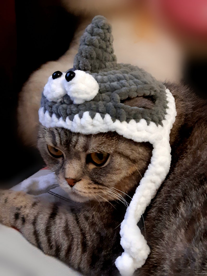 Crochet Patterns Hat for Cats Shark Hat Cat Beanie Pattern Etsy