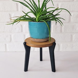 May include: A wooden plant stand with three black legs supports a turquoise ceramic pot with a green succulent plant.