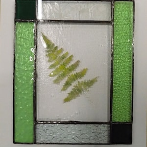 Fern Fossil Vitra Panel