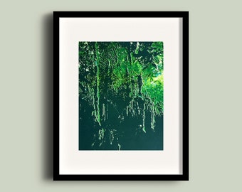 Green jungle Screen printing A3 posters - "Mindo"