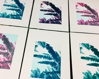 Pink and blues banana leaves from South America - three-color A3 Screen printing posters, prints, art