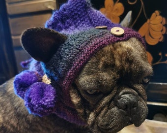 Pixie hat gradient purple, green, blue with small bobbles, hand knitted for medium sized dogs/French bulldog/pug etc.