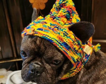 Pixie cap made of colorful cuddly wool with bobbles, hand-knitted for medium-sized dogs/French bulldog/pug etc.